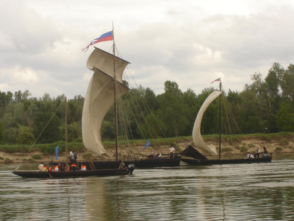 VeuvesLes Bords De Loire公寓 客房 照片