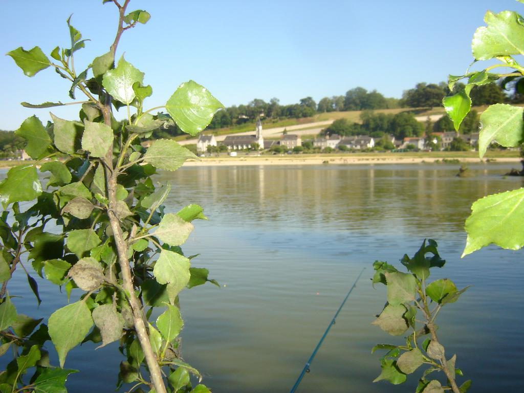 VeuvesLes Bords De Loire公寓 客房 照片