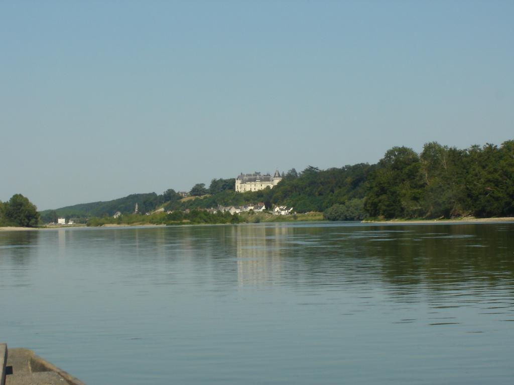 VeuvesLes Bords De Loire公寓 客房 照片