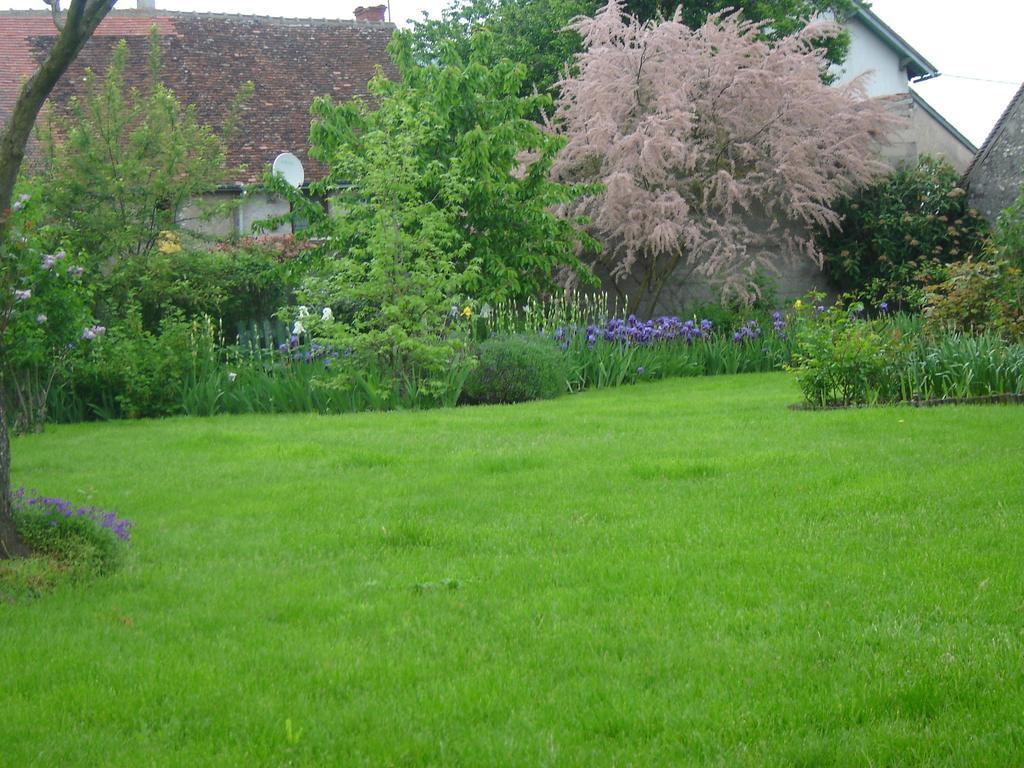 VeuvesLes Bords De Loire公寓 客房 照片